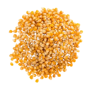 Maíz para palomitas de maíz