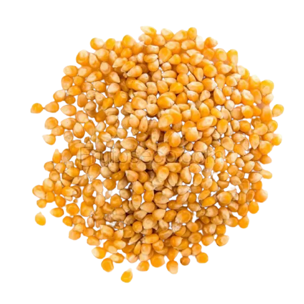 Maíz para palomitas de maíz