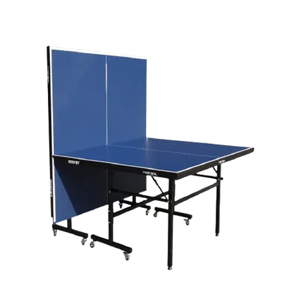 Mesa profesional de ping pong